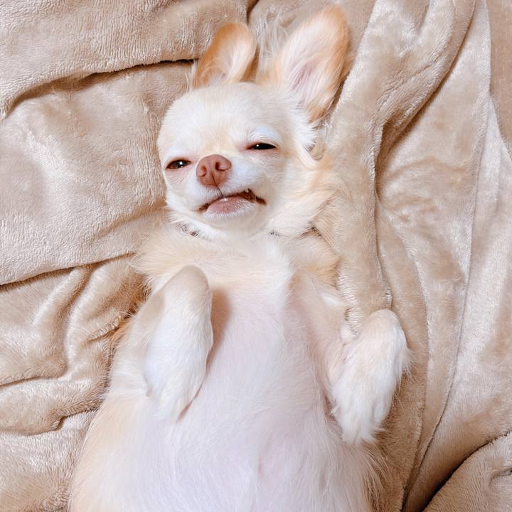 Cf8964e3 959b 4aa3 b448 f45fc39bbac3 1662637477677