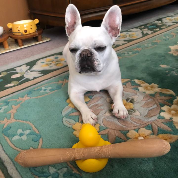 Cf898b6c 771a 4305 8692 ca6527ed9d60 1653730661161