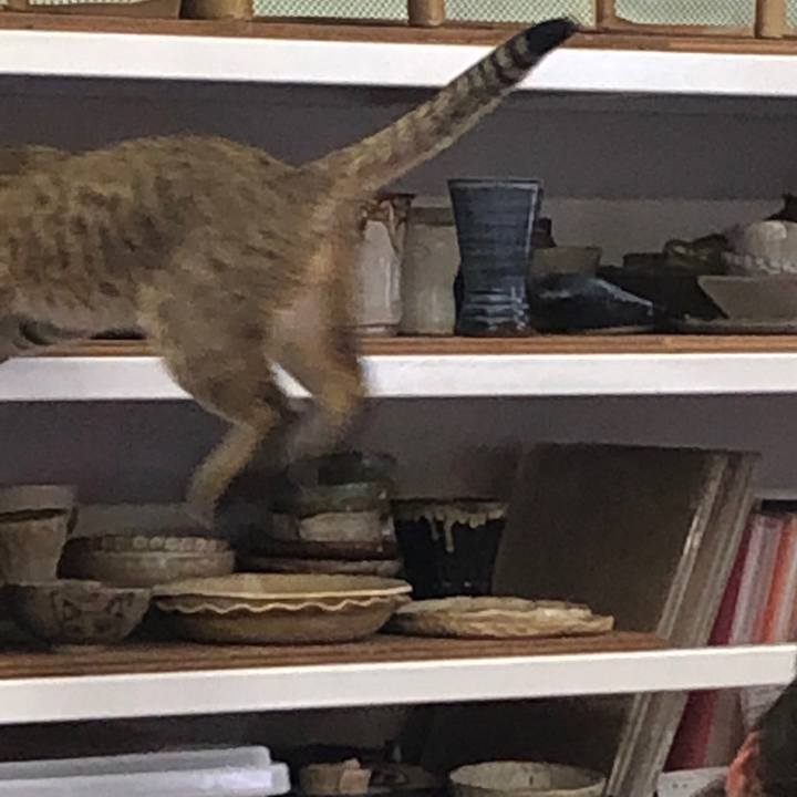 Cf89a6b3 2cd5 421e 9f0b da42067b0d32 1584765062981