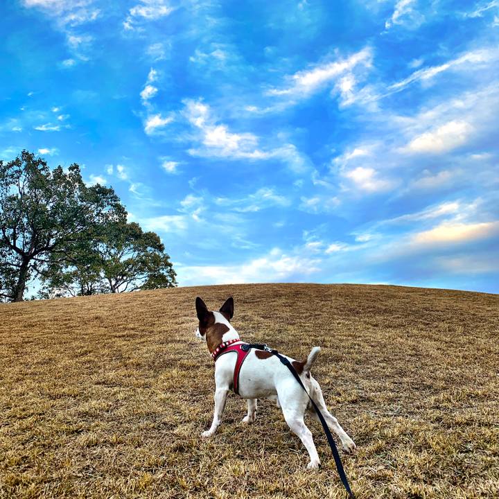 Cf89e7dd b946 48cd 8b3c 1bc659602d97 1547198666982