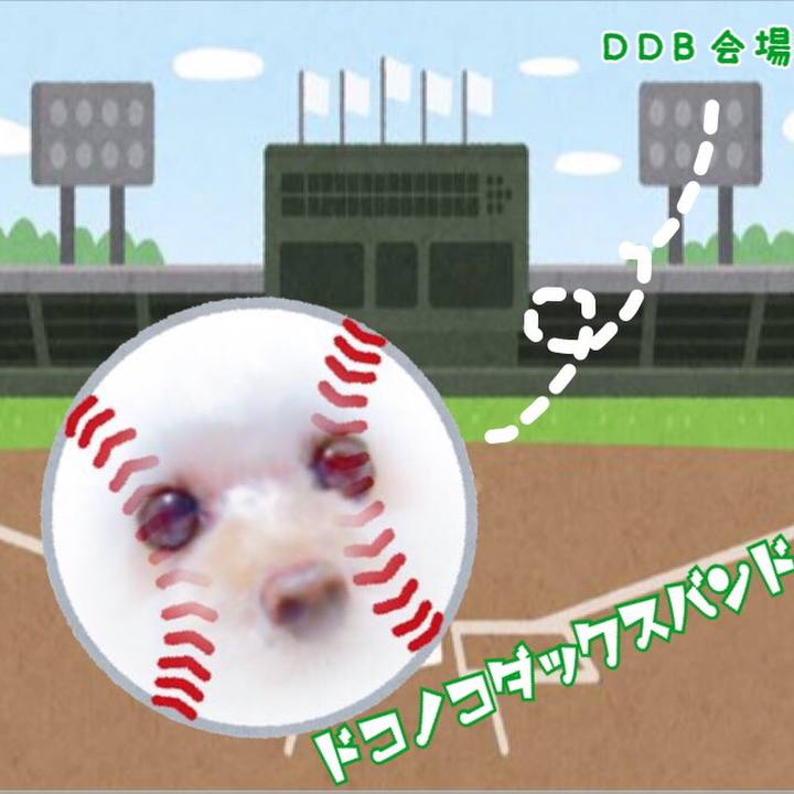 Cf8a28f3 d793 489c 8ece 4382e4cac30d 1534041472412