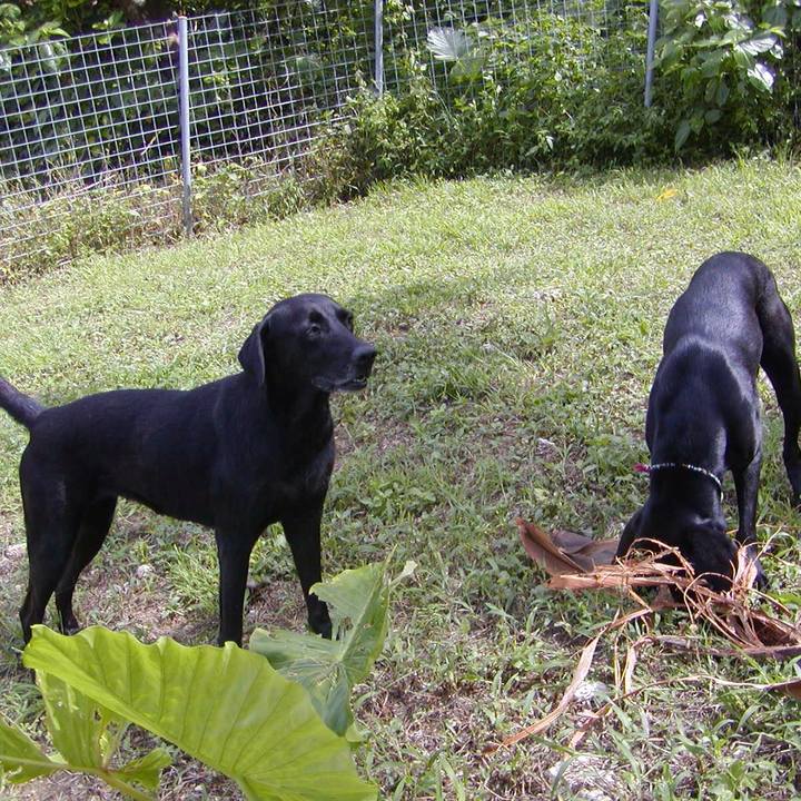 Cf8a449e 5bf1 4c88 927b dc7c89baa5e4 1524133362094