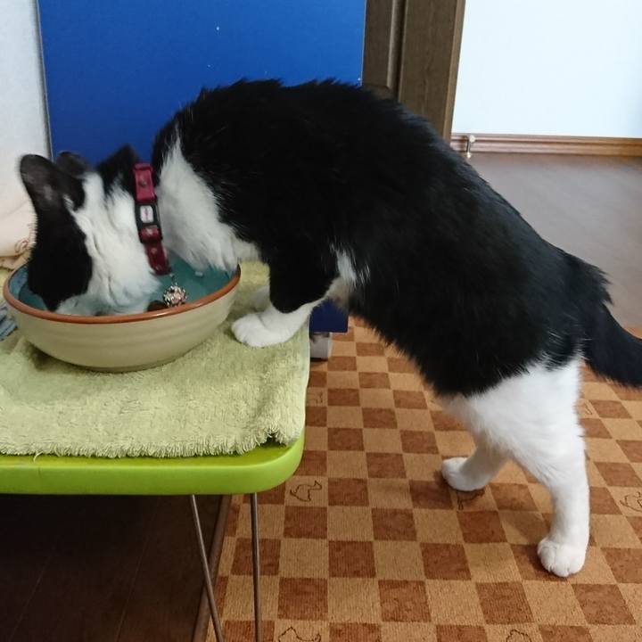 Cf8a7871 08f9 4507 a0b6 7e7c8e1436cc 1592397887059