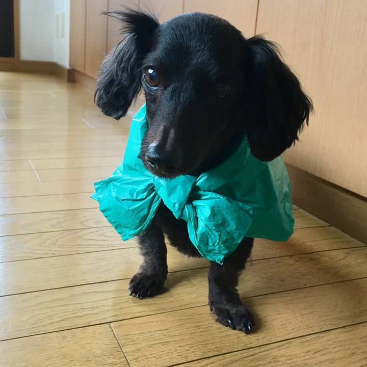 Cf8ac624 8100 48a3 9038 2a6e515127ce 1537576841939