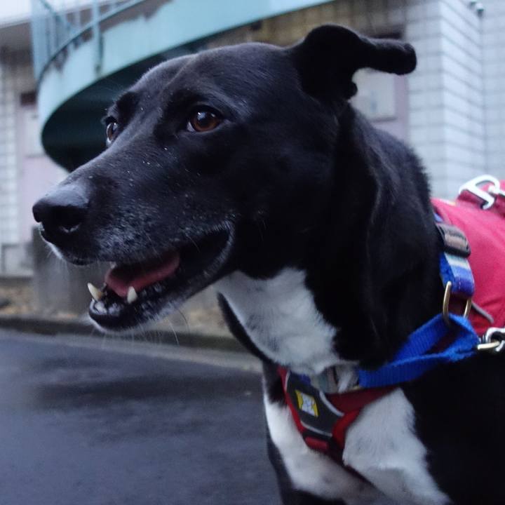 Cf8aef2a 5304 4108 a196 4c505c526a12 1652089843673