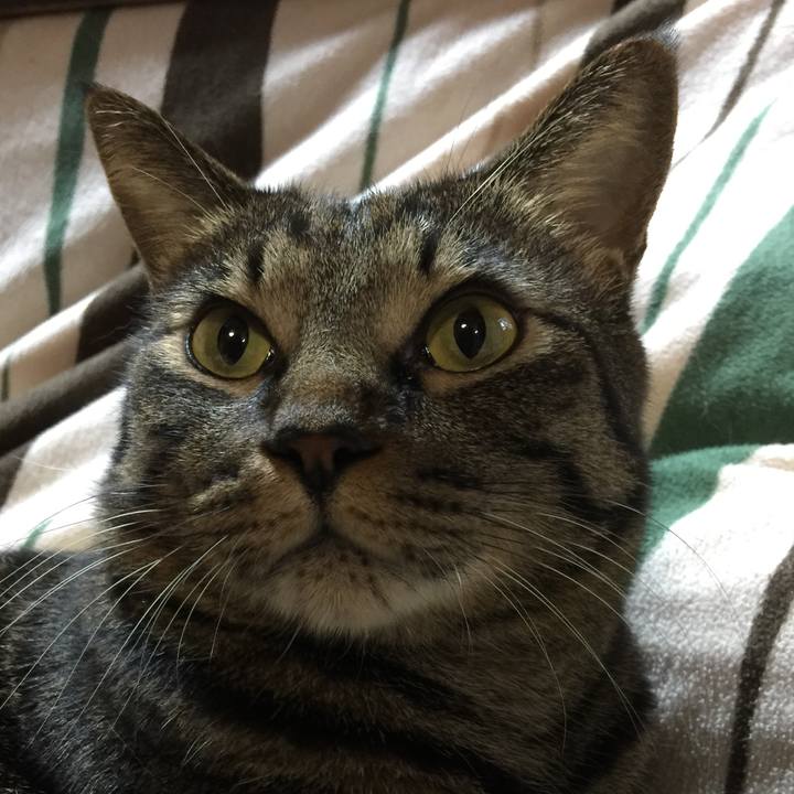 Cf8b05a9 2502 4661 9b6f 7b7b08600520 1640756872741