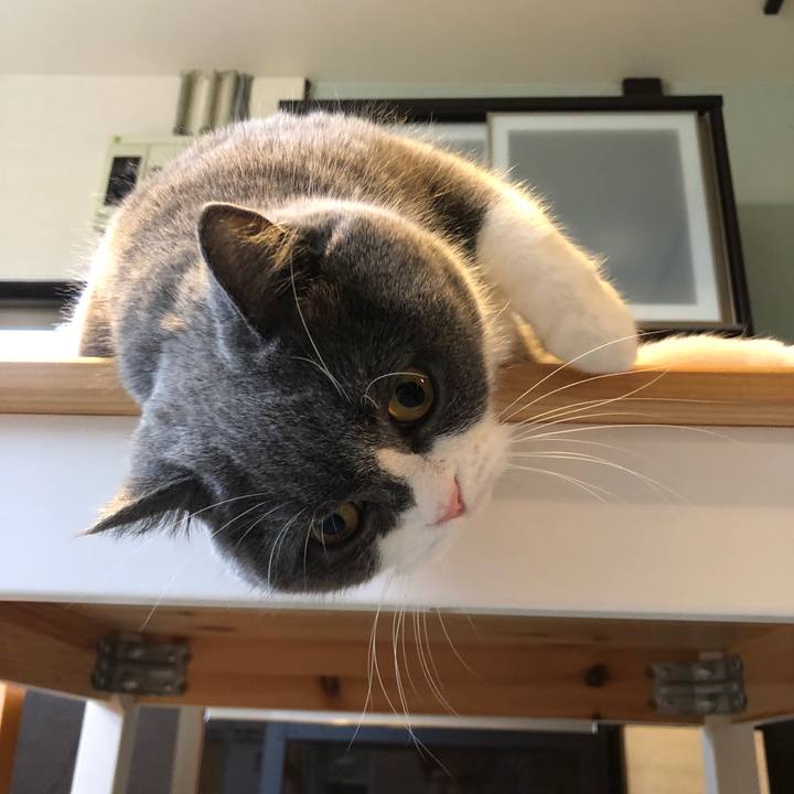 Cf8b0adb 12f7 4120 9bcb 886e154694a3 1577674236811