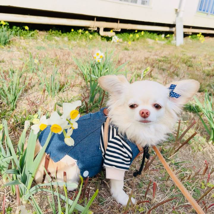 Cf8b1fcc 8d47 411c 8d57 17818872653c 1705644161909