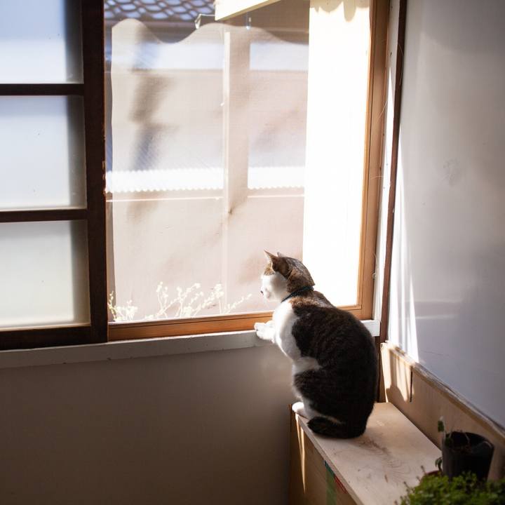 Cf8b528a c6b8 43cc a619 8a743708c23d 1554186641894