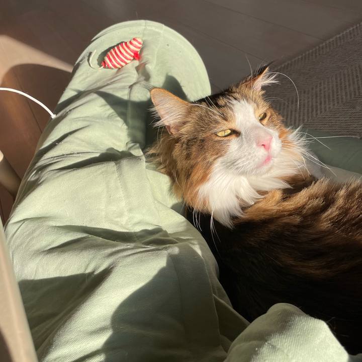 Cf8b8c0d 2617 4b76 ac27 8551e66e5c42 1668232183457