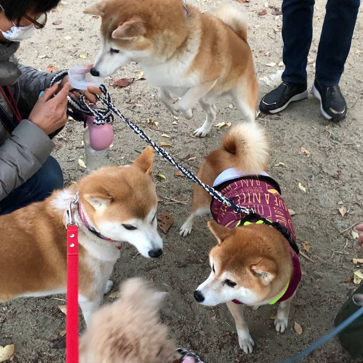 Cf8bbafd a71c 440b a596 a97d3e3e3b32 1606783277742