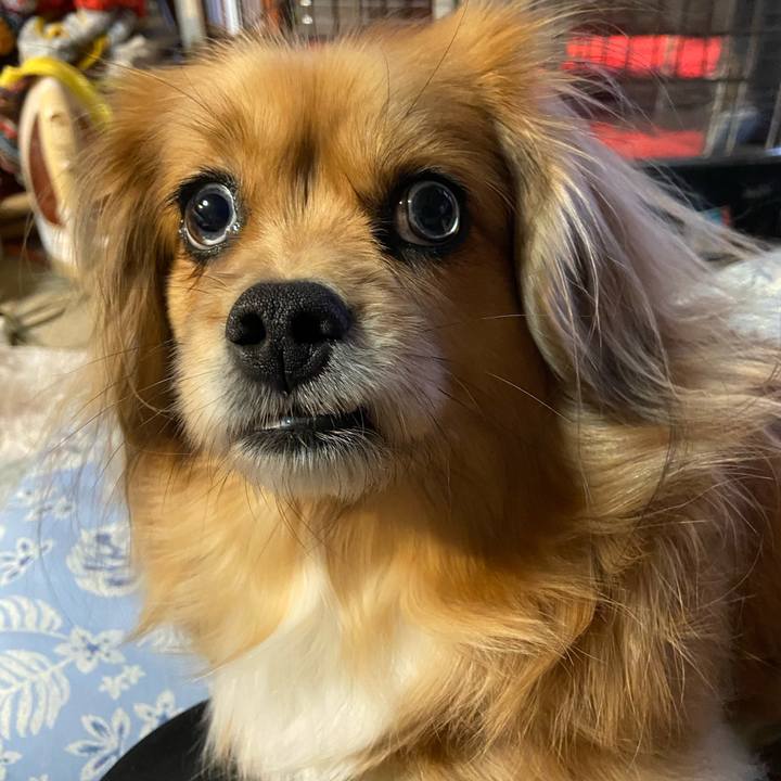 Cf8bdbf1 eb2b 4750 8644 42f345ca4b08 1612908860711