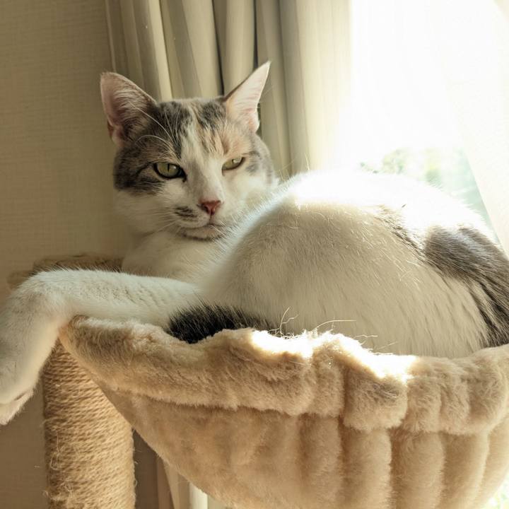 Cf8bf535 be94 474c 8c9d c323c9bd41d4 1684209183656