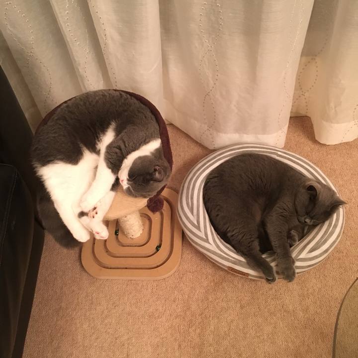 Cf8c0861 75e3 4a79 8ef5 5aaa77264455 1510203807733