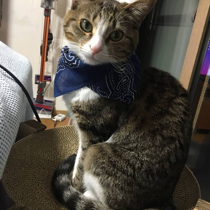 Cf8c5716 21f1 48c1 b1be 6c9452550a75 1683458606080