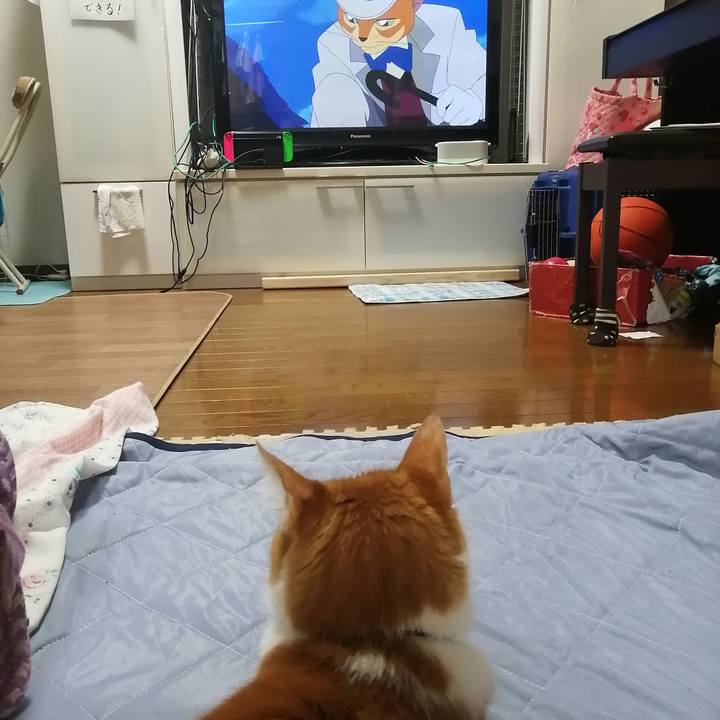 Cf8c720a 35b8 493f 98a1 9f10bad69a7e 1629463542640