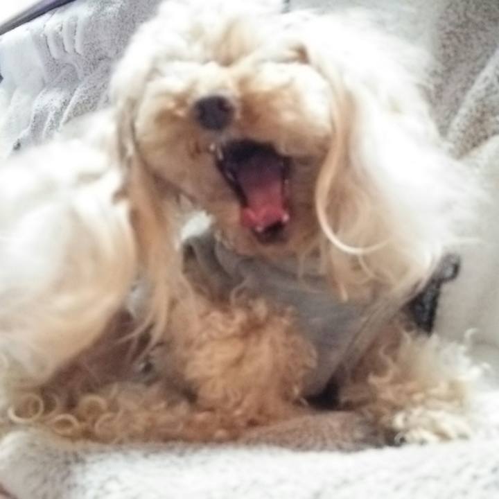 Cf8c7f62 9f1f 41be b5d9 b35a11e5bfcc 1523880468244