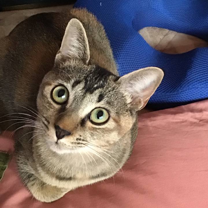 Cf8ca36d 209e 4f1b 8161 fe20568b134f 1574387101198