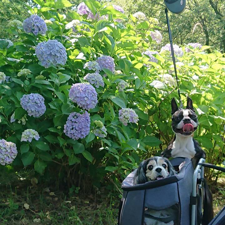 Cf8cb794 7218 4747 aca3 7908c5f2bbf0 1655814137729