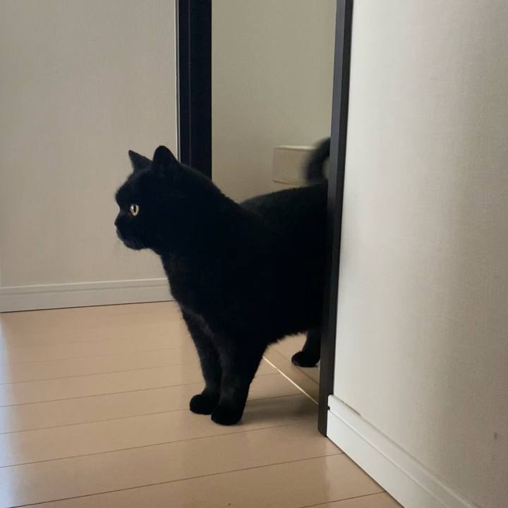 Cf8cd7bf a2c5 465d b1f8 5203ced8b178 1751751878010