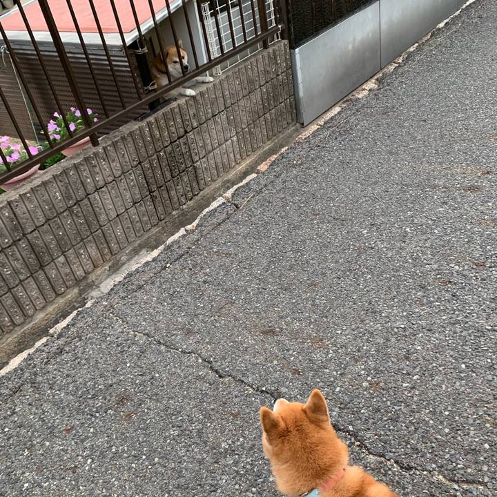 Cf8cfe8c f73a 497c be5a 876279998f73 1569625079808