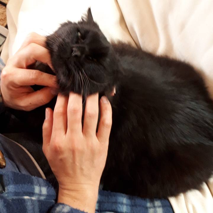 Cf8d0fa3 1e88 402a b48c cc7056eea052 1520897707815