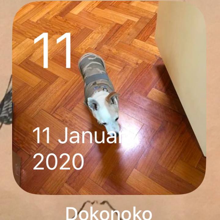 Cf8d1ec0 42b1 4276 acbc bd01b2778d26 1768086707764