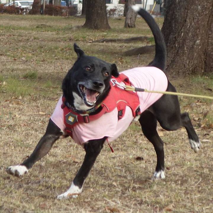 Cf8d2e8e bb50 4537 b799 330f6b23ed30 1675475983850