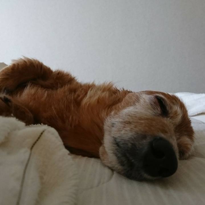 Cf8d6cba 10ac 4aec b0cd 6dc48aa1c2e7 1562264070537