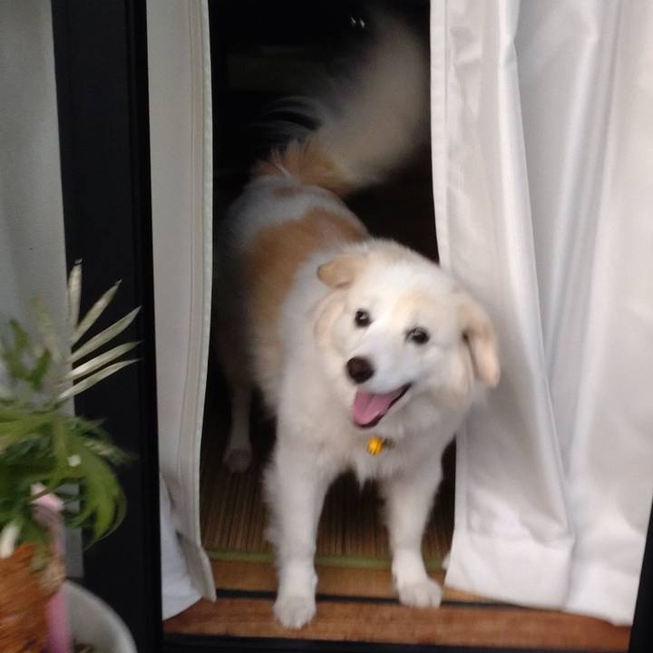 Cf8d72d4 7c37 4a9e aee0 6f3de964fa42 1650401197949