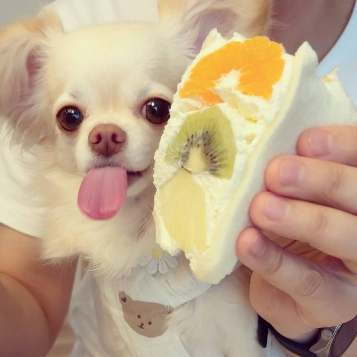 Cf8d73ef ca25 4e08 a89d 575a50efb851 1692445697083