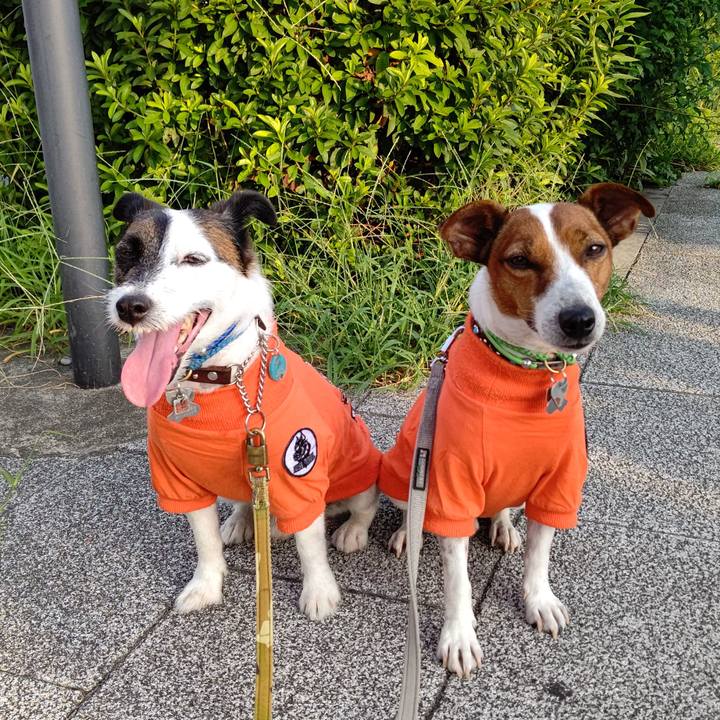 Cf8d8002 72a1 4734 8b72 ee43176bbbfd 1659475577544