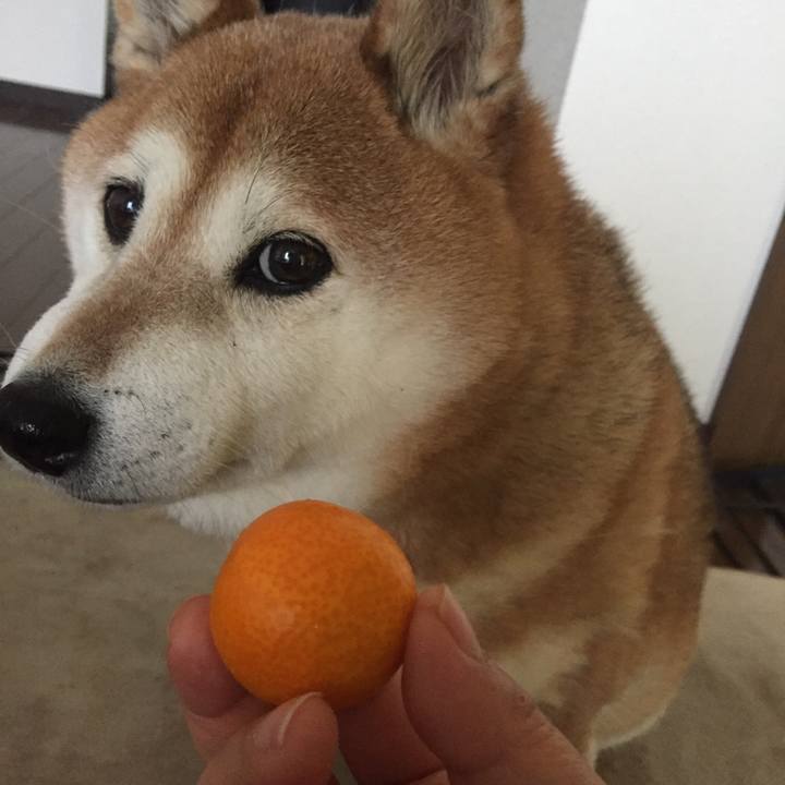 Cf8d8577 9886 42dd 8eed 8b30308f2e0e 1520683207442