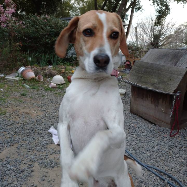 Cf8dc720 0c4f 4bb6 ba20 236d1c2033fc 1585213223421