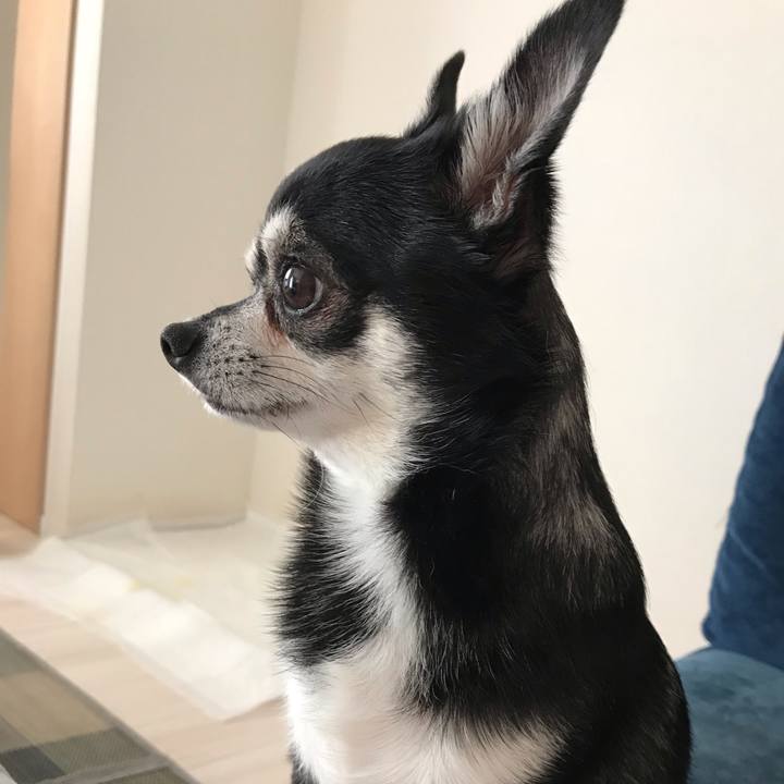 Cf8dd427 63ad 4fd1 8a5c 31a7bb95f3d0 1570947627241