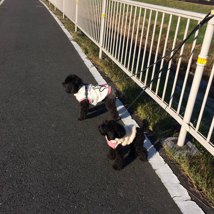 Cf8ddaea 7611 48ed a383 5fe522507f7e 1513989403167