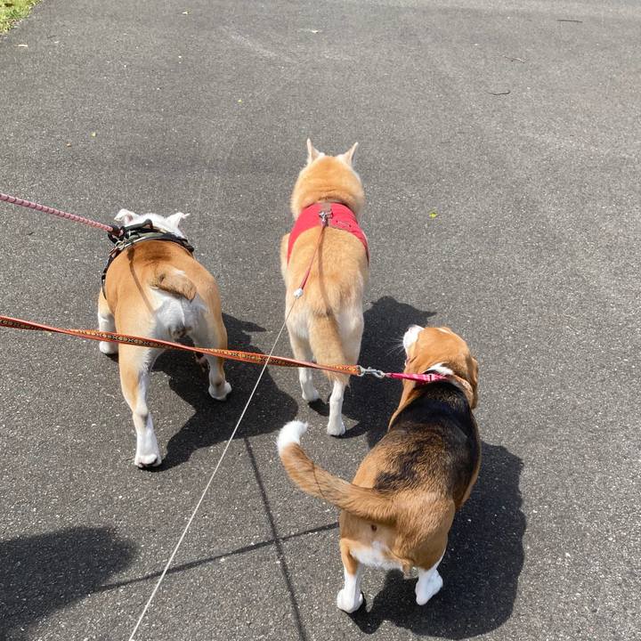 Cf8e083c 85a5 4ea6 869c de4f80a9994e 1763969761976