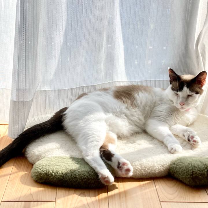 Cf8e0b1d e129 4d72 984b 2a81da18e456 1650696266910