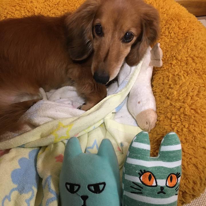 Cf8e0d66 df9c 48f3 84c9 9605152c2e7c 1618925975956