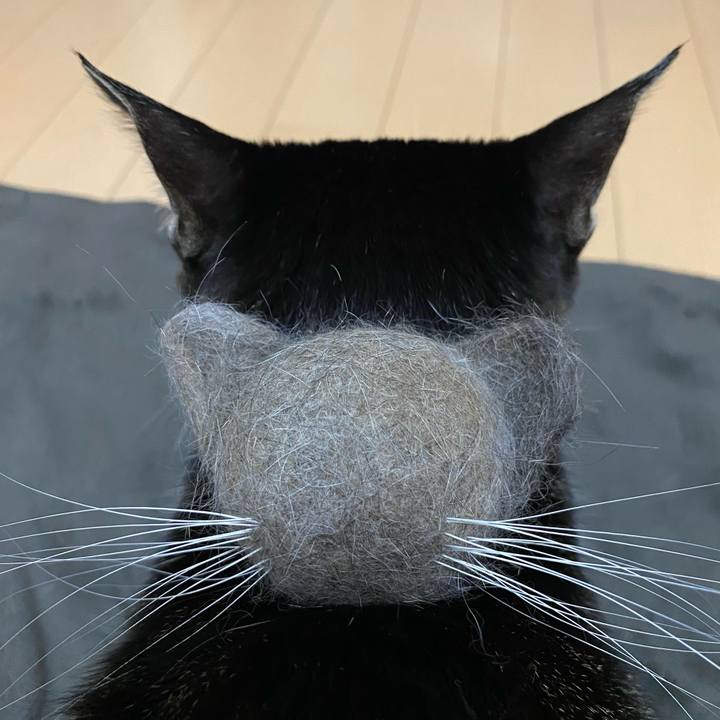 Cf8e1620 7e3e 4453 b9e8 ae55df23fa1c 1686951035351