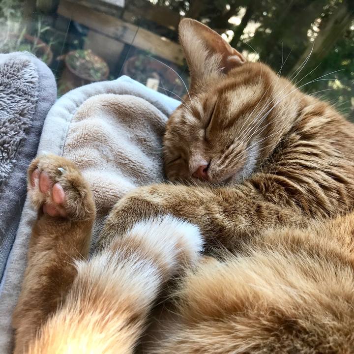 Cf8e36e4 41eb 4e25 96e9 82761a0f046b 1515814693071