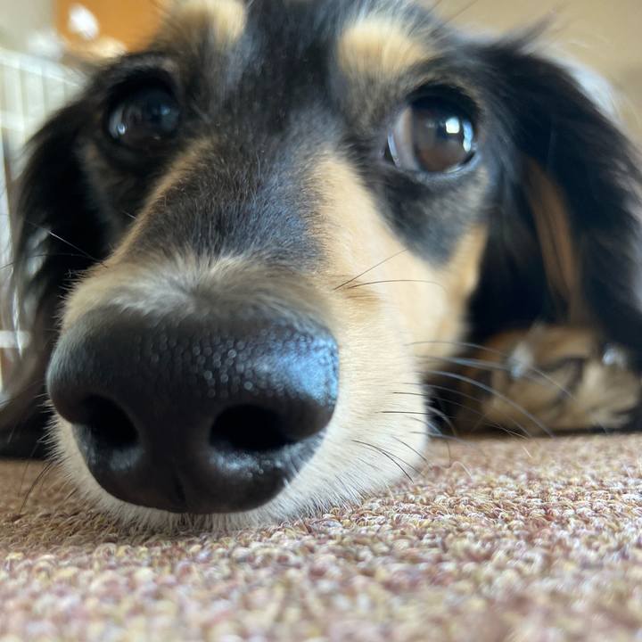 Cf8e6d99 8e6c 44ae b89a 1346214bb43e 1742369106242