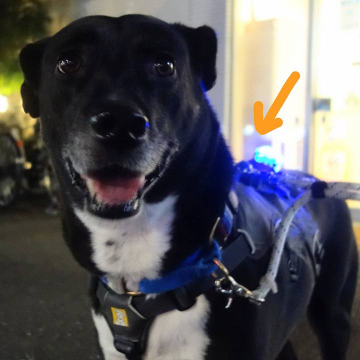 Cf8e8574 75d7 4275 95bf e463e260bdfc 1665485126944