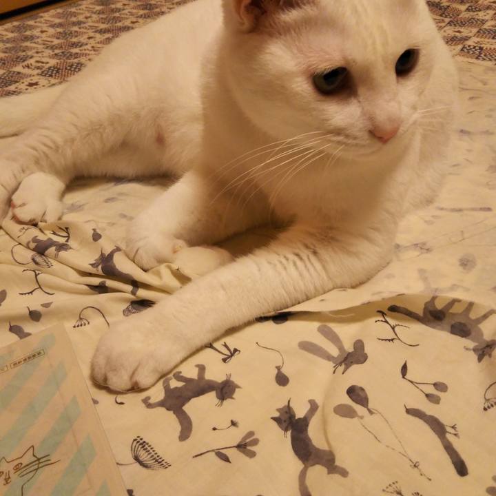 Cf8e94ff 770b 4e0c 8c4b 0cc59b170d0b 1537360547398