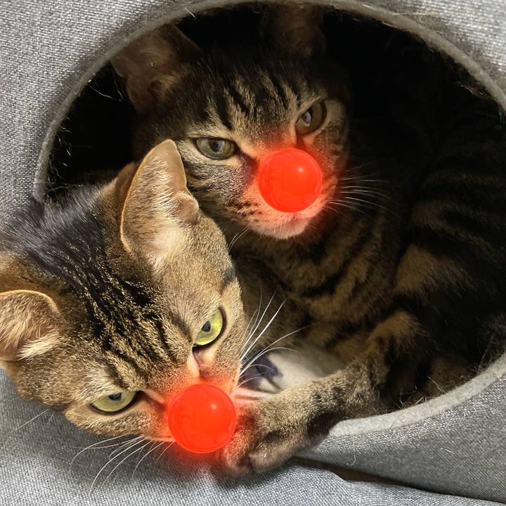 Cf8e9d7f 5365 4197 bae3 c0c594c38b4d 1766571839100