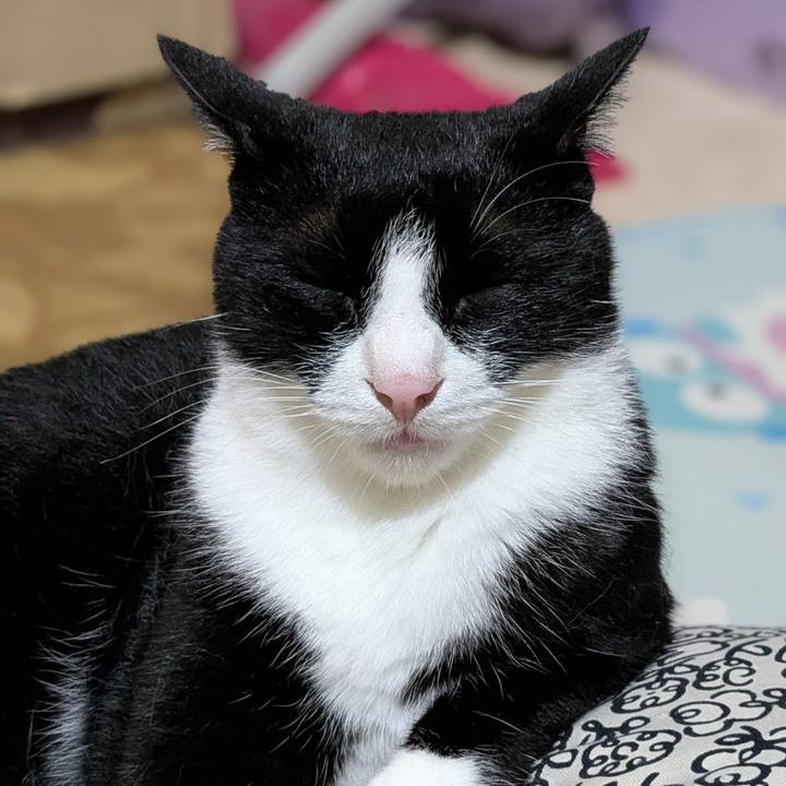 Cf8ed6d8 ba34 4ff2 b993 af81dcf9f5df 1752594484729