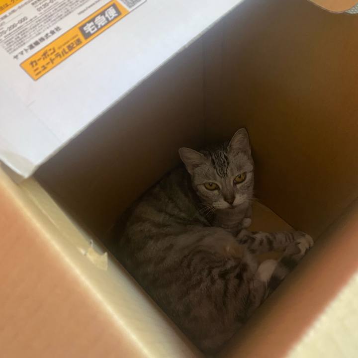 Cf8edf47 93fa 4cf3 b2ee 58cd047265a7 1758985377484