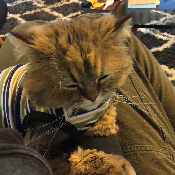 Cf8ee0c1 ad68 49f8 9aa3 0acf0927bfd2 1588843009961