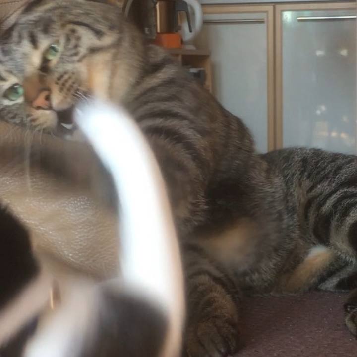 Cf8f008b 645d 47fe be0d 0762c133e7a5 1513087098664