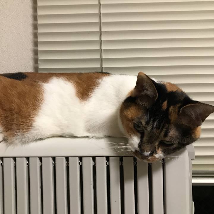 Cf8f283a d505 4f32 b769 46df49acb7eb 1517580486081